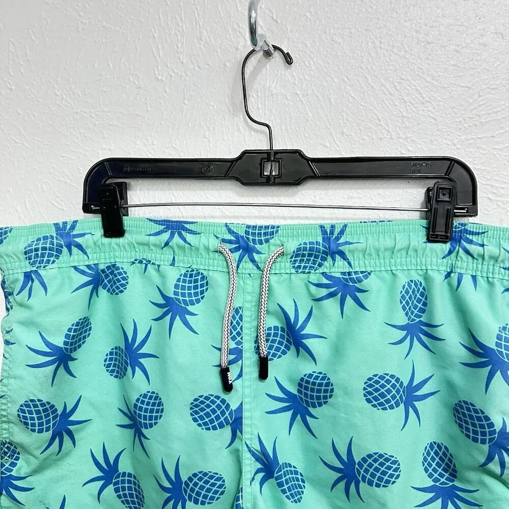 Tom Teddy Swim Trunks Green Blue Pineapple Print Liner Pockets‎ Stretch Summer M